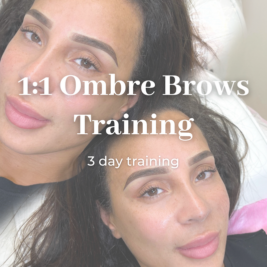 Private Ombre Brows Training